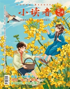 小读者·爱读写