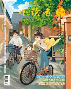 小读者·爱读写