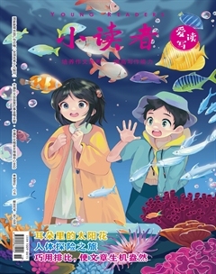 小读者·爱读写