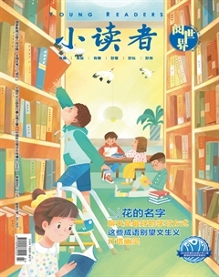 小读者·阅世界