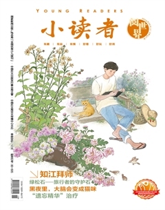 小读者·阅世界