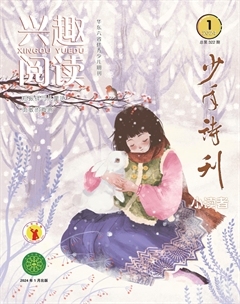 兴趣阅读·少年诗刊