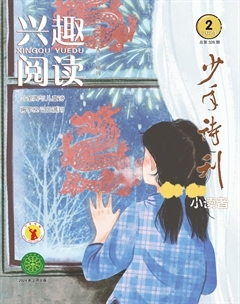 兴趣阅读·少年诗刊