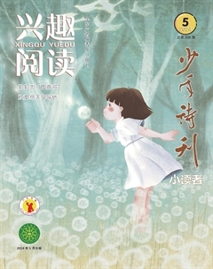 兴趣阅读·少年诗刊