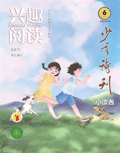 兴趣阅读·少年诗刊