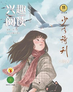 兴趣阅读·少年诗刊