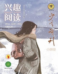 兴趣阅读·少年诗刊