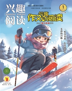 兴趣阅读·兴趣作文与阅读（低年级）