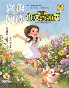 兴趣阅读·兴趣作文与阅读（低年级）