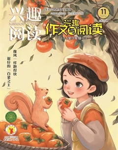 兴趣阅读·兴趣作文与阅读（低年级）