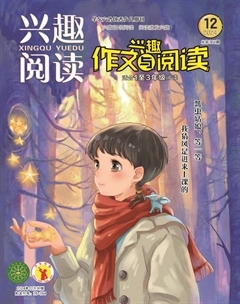 兴趣阅读·兴趣作文与阅读（低年级）