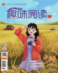 小学生优秀作文·趣味阅读