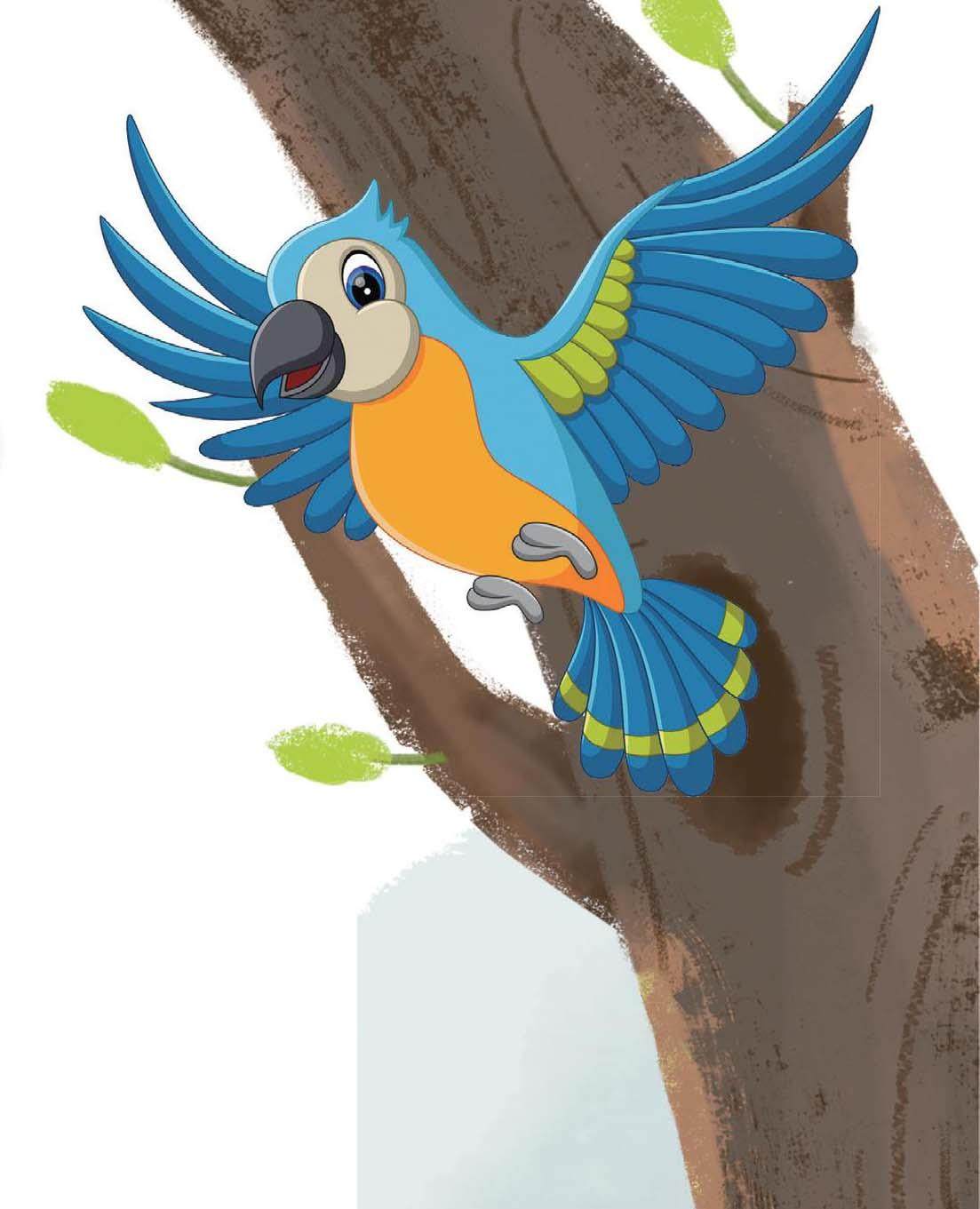 小鹦鹉“阿呆”的插图