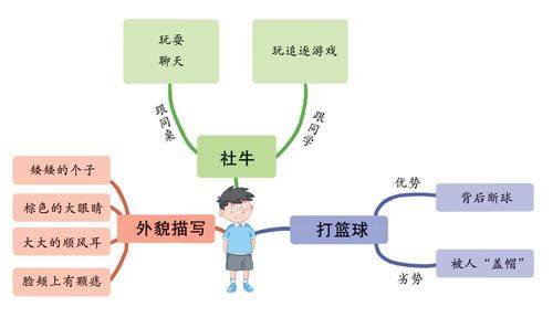 我们班的新同学的插图