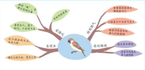 老家贼的插图