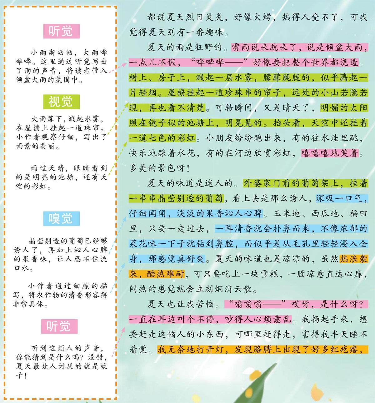 让人又爱又恨的夏天的插图