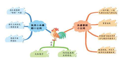 勇猛的“战斗鸡”的插图
