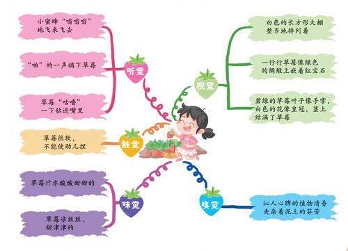 摘草莓的插图