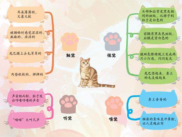 李大咪的插图