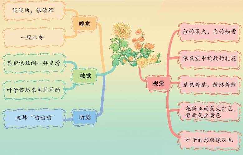 还来就菊花的插图