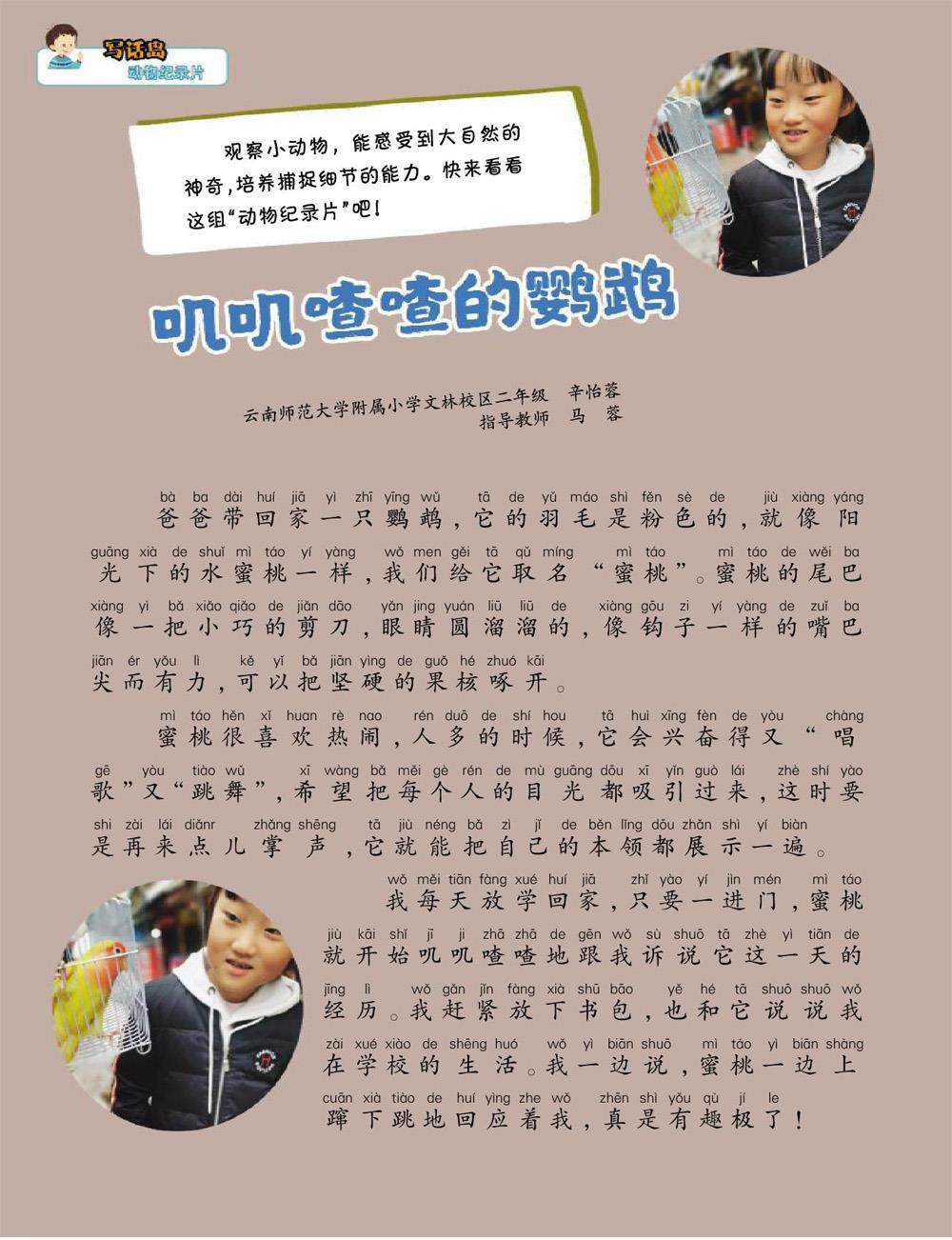 叽叽喳喳的鹦鹉的插图