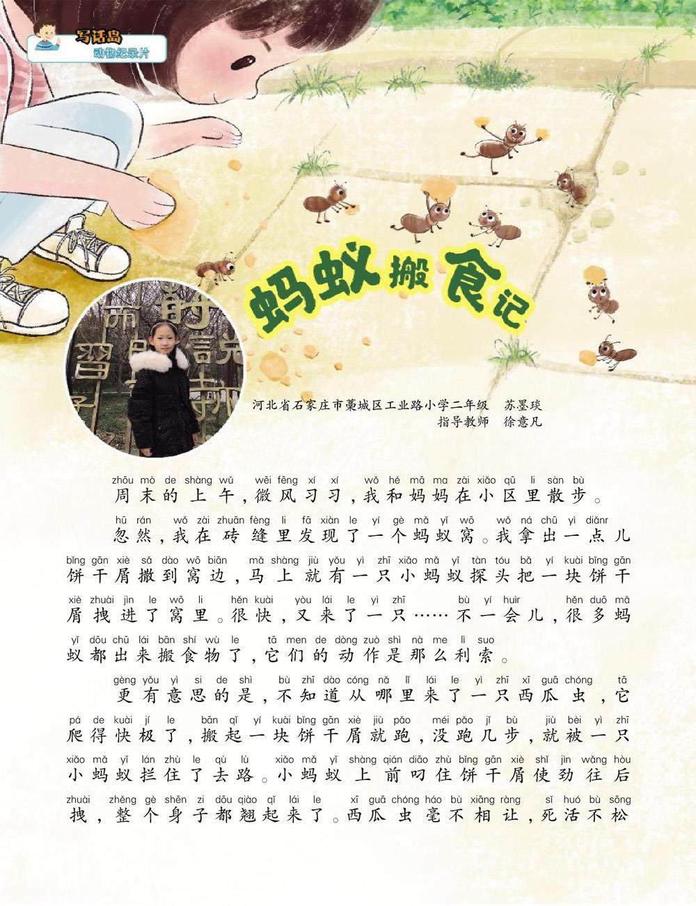蚂蚁搬食记的插图
