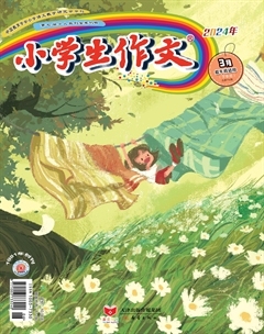 小学生作文·小学低年级适用