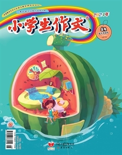 小学生作文·小学低年级适用
