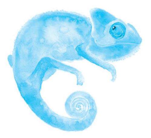 “变色龙”老师的插图