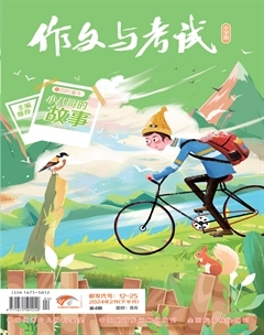 作文与考试·小学版