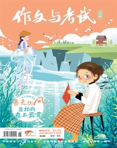作文与考试·小学版