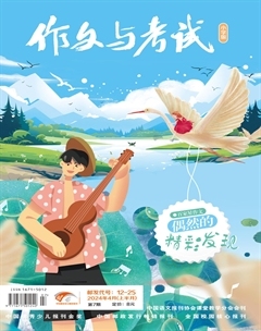 作文与考试·小学版