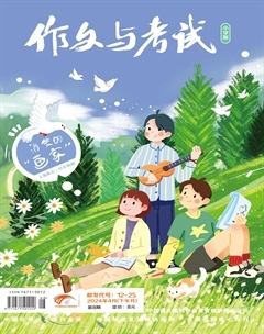 作文与考试·小学版