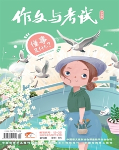 作文与考试·小学版