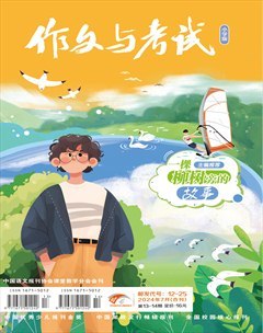 作文与考试·小学版