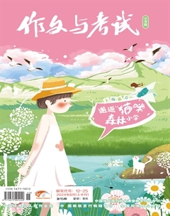 作文与考试·小学版