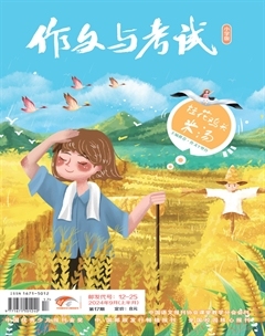 作文与考试·小学版