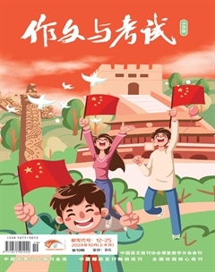 作文与考试·小学版