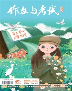 作文与考试·小学版