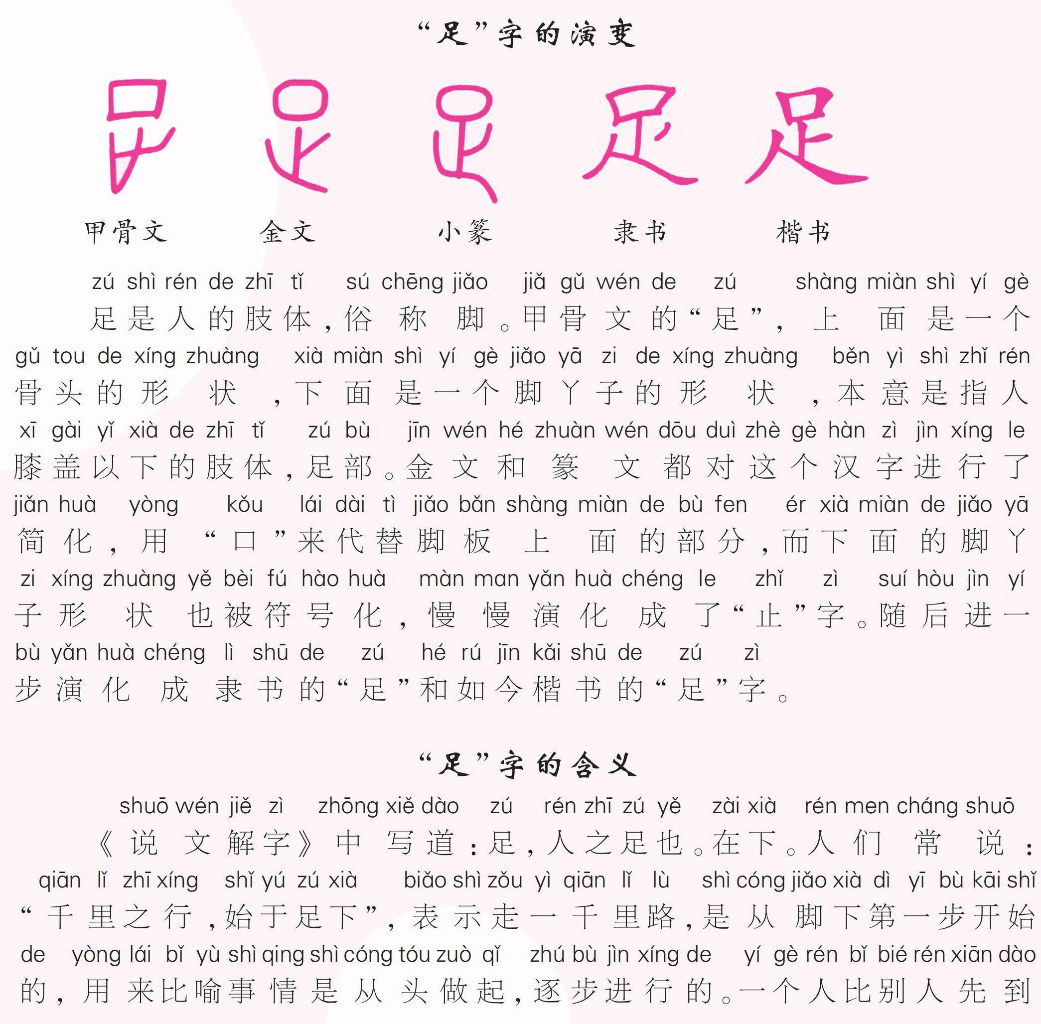 说“足”的插图