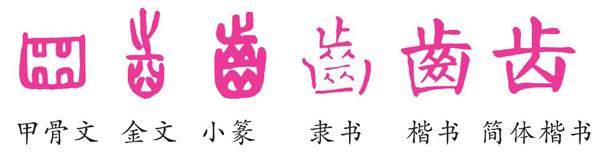 说“齿”的插图