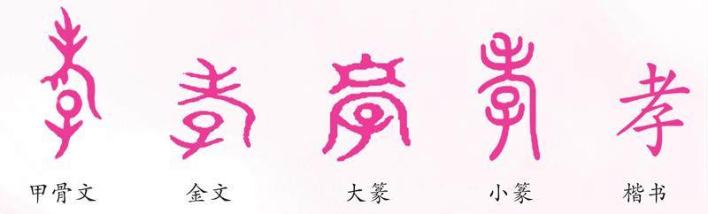 说“孝”的插图