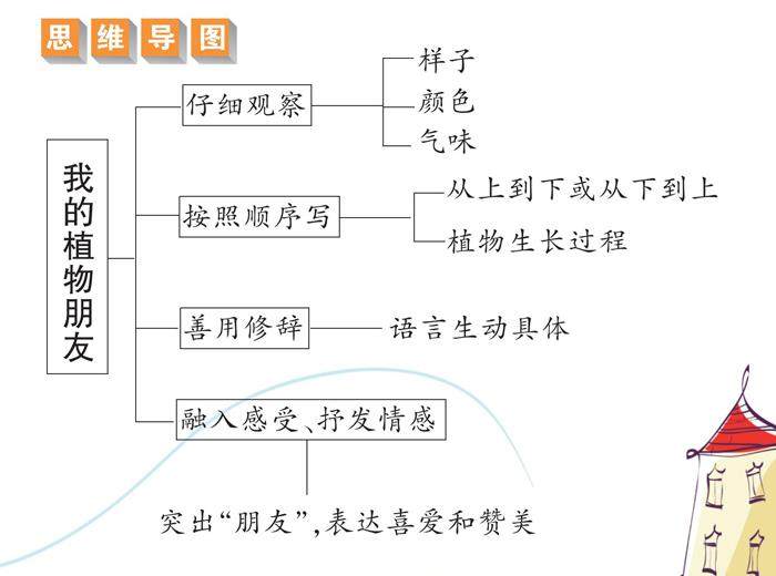 我的植物朋友的插图