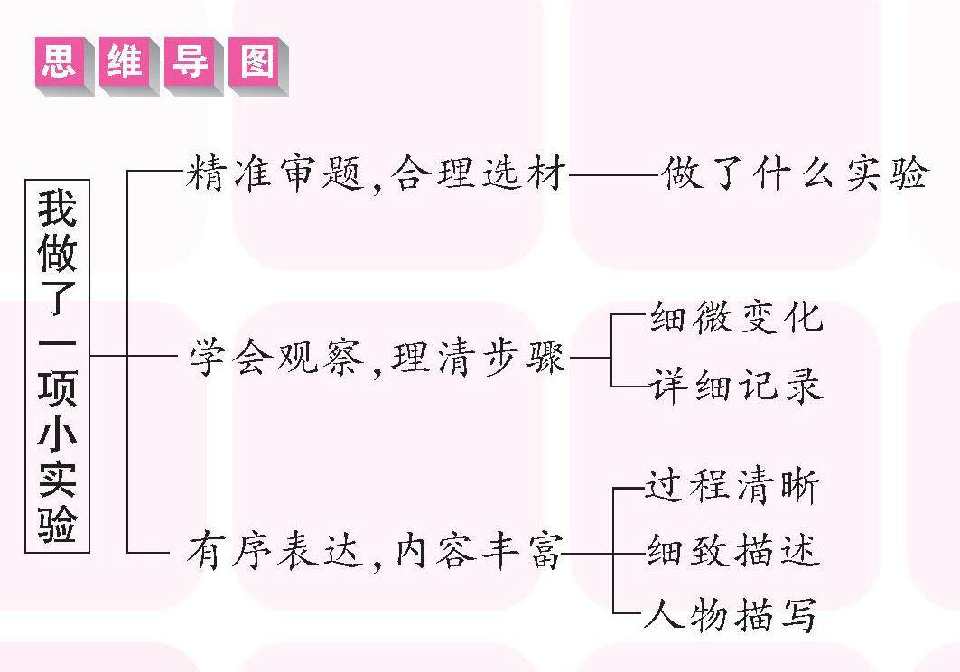 小实验里的大奥秘的插图