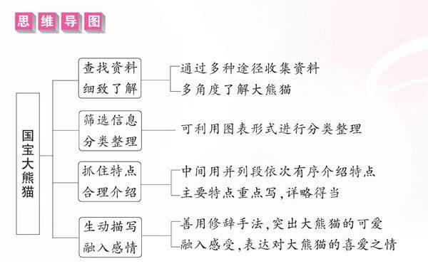 国宝大熊猫的插图