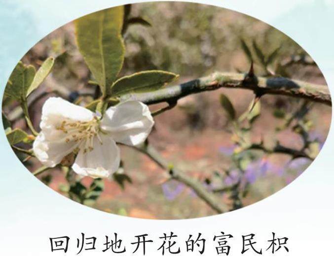 时隔十六年,它“复活”了的插图