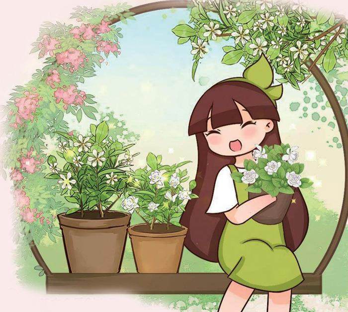 院墙的三角梅的插图
