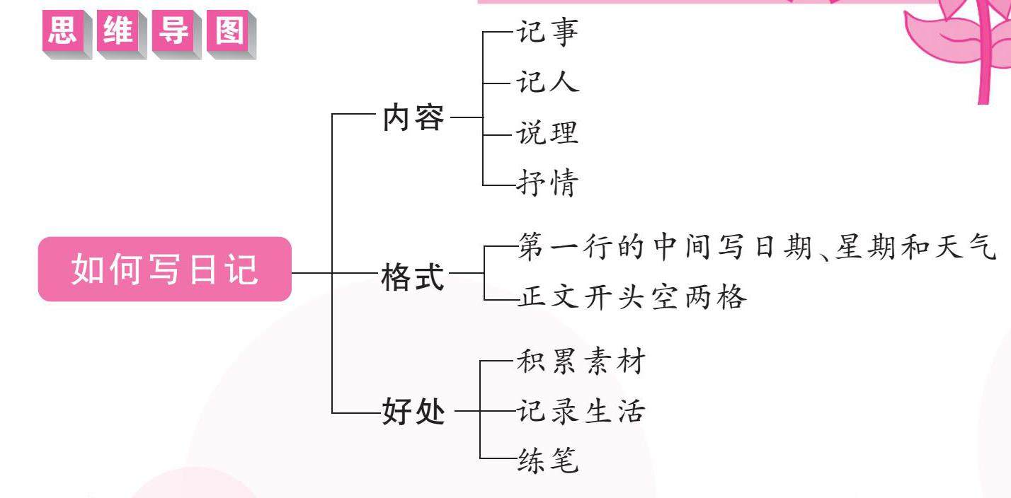 2024年6月3日 星期一 晴 仙人掌开花的插图