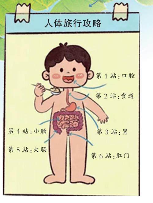 小草莓“旅行记”的插图