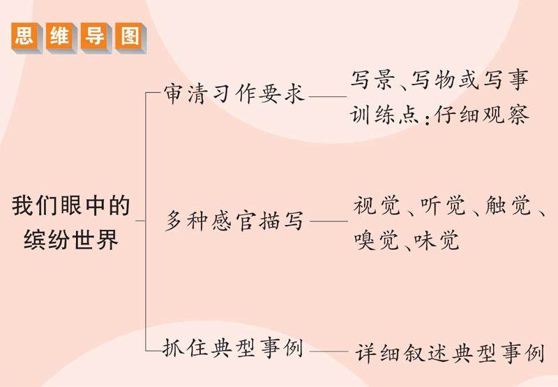 我们眼中的缤纷世界的插图